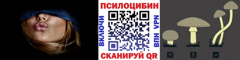 Галлюциногенные грибы мицелий  Купить где  Екатеринбург 